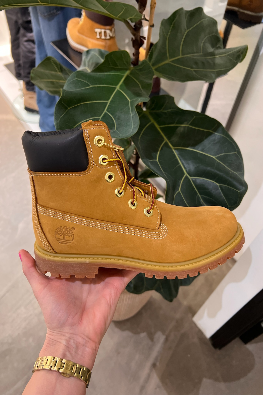 Premium 6 In Lace Waterproof Boot - Wheat - Timberland